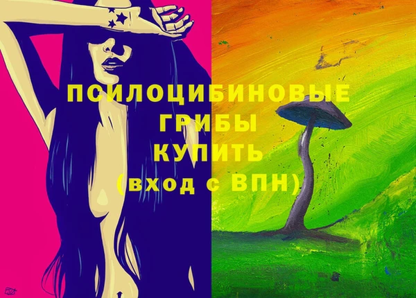 ГАЛЛЮЦИНОГЕННЫЕ ГРИБЫ Шарыпово