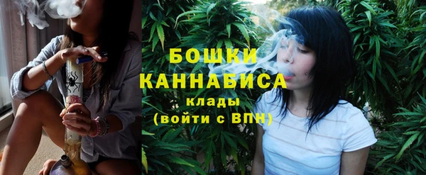 ГАЛЛЮЦИНОГЕННЫЕ ГРИБЫ Шарыпово