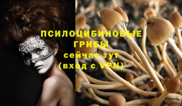 а пвп мука Шали